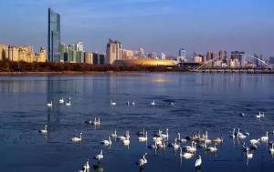 三門(mén)峽又一網(wǎng)紅景點(diǎn)，確定不來(lái)pick一下？