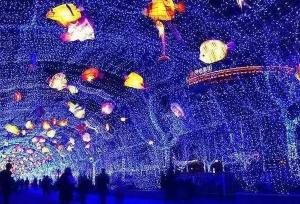 【三門峽國際光影藝術(shù)節(jié)】家門口的雜技表演和燈光秀，精彩不容錯過！